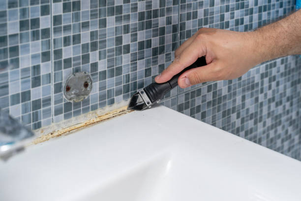 Best Fast Mold Removal  in Cedville, AR