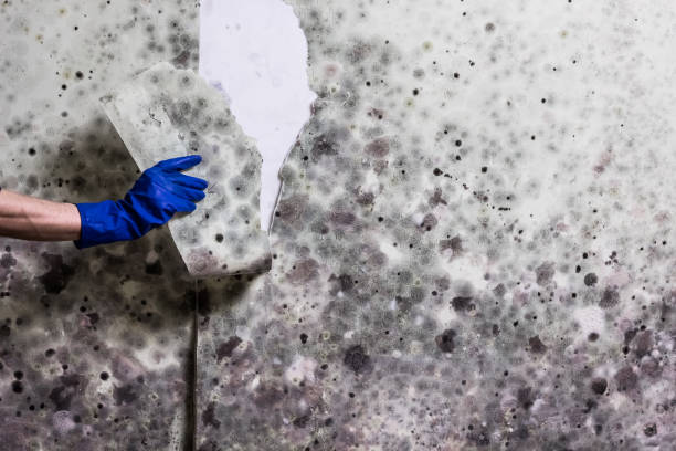 Water Damage Restoration in Cedarville, AR